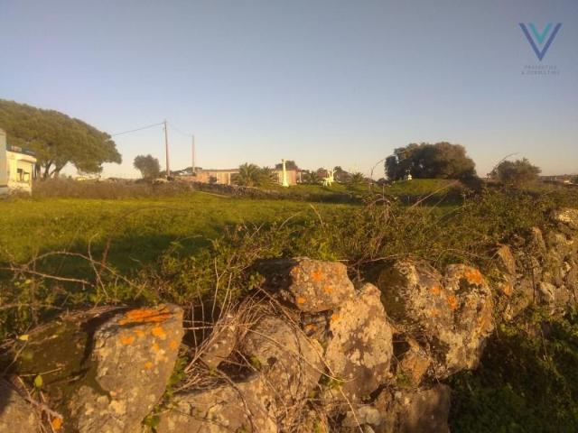 Terreno venda em Sintra, Lisboa