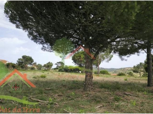 Terreno venda em Sintra, Lisboa