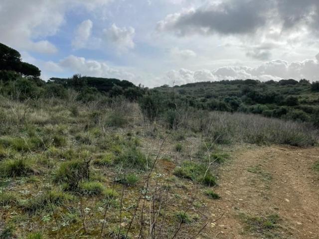 Terreno venda em Sintra, Lisboa