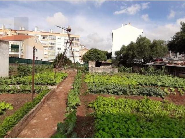 Terreno venda em Sintra, Lisboa