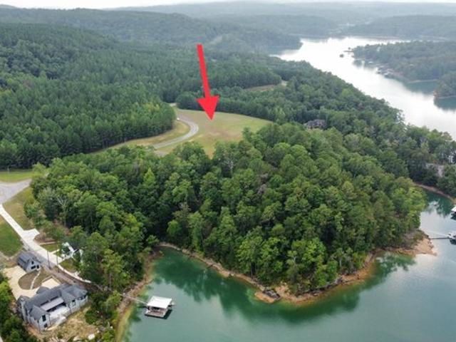 Land for sale in Double Springs, Alabama
