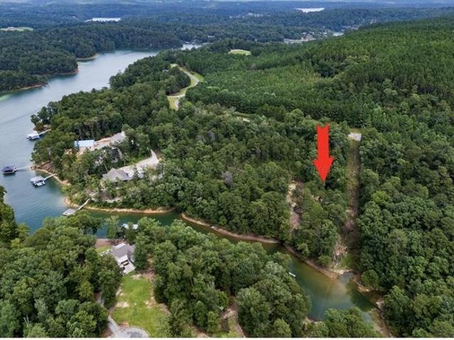 Land for sale in Double Springs, Alabama