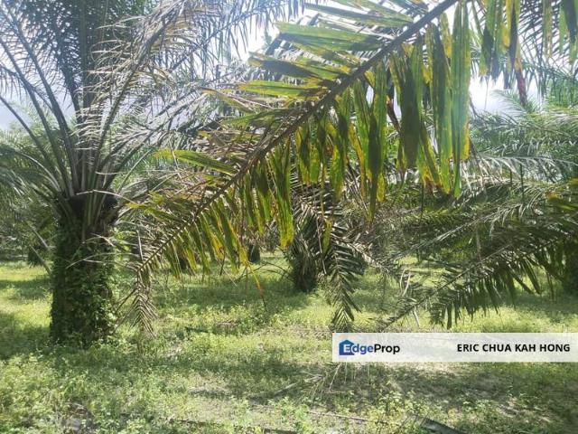 Shop for sale in Perak, Siputeh