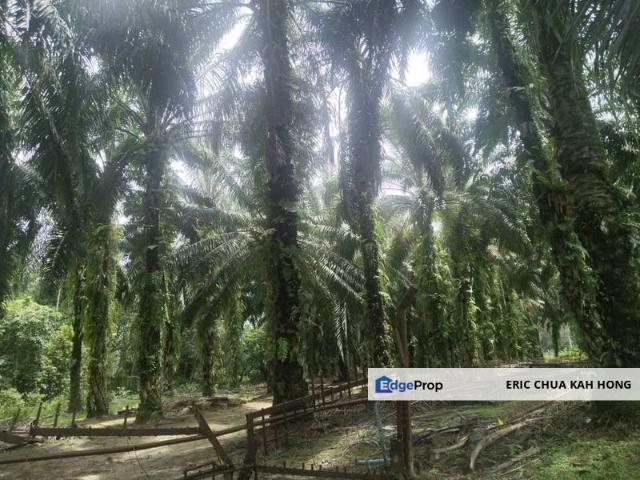 Shop for sale in Perak, Siputeh