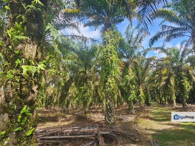 Shop for sale in Perak, Siputeh