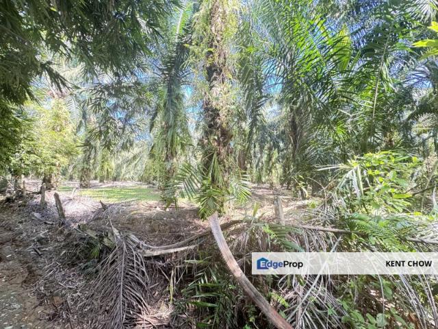 Shop for sale in Perak, Siputeh