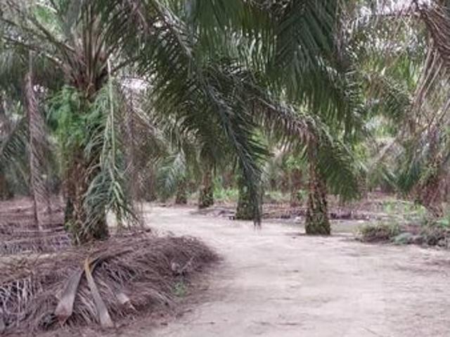 Shop for sale in Perak, Siputeh