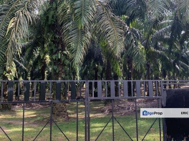 Shop for sale in Perak, Siputeh