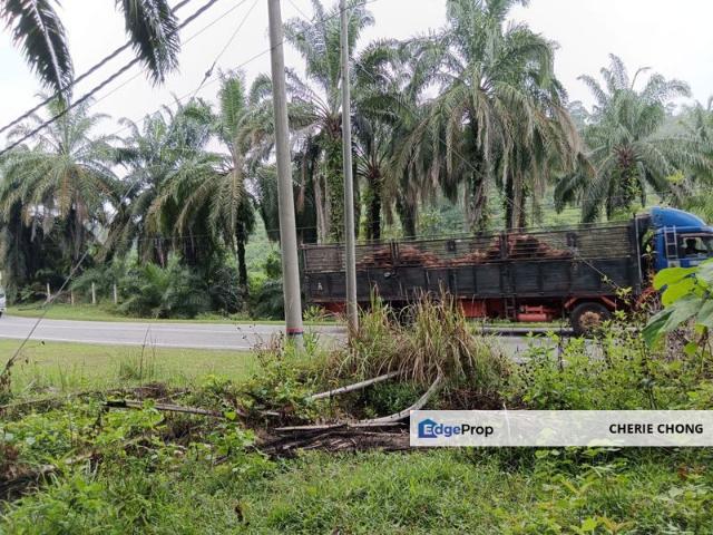 Shop for sale in Perak, Siputeh