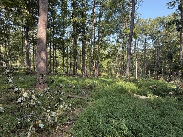Land for sale in Berkeley Springs, West Virginia