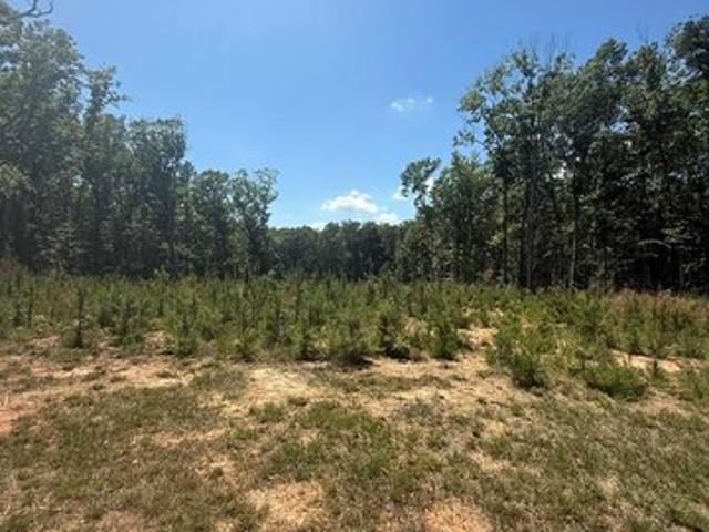 Land for sale in Virginia