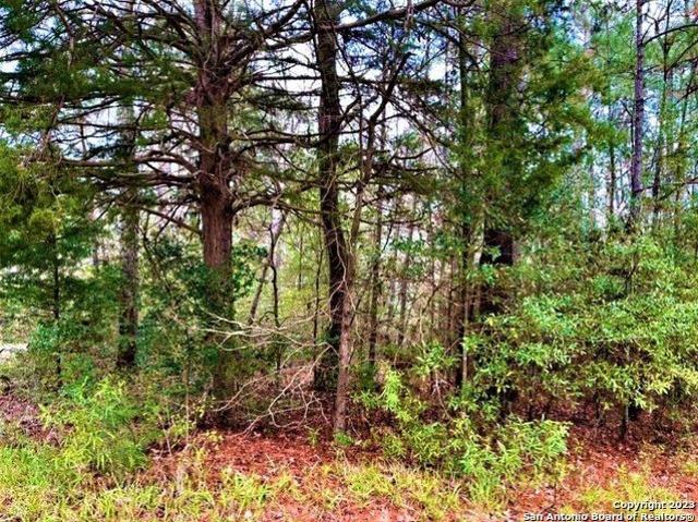 Land for sale in Village Mills, Texas