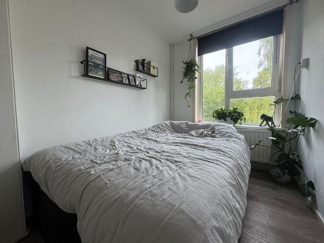 Kamer te huur in Paddepoel-Noord, Groningen
