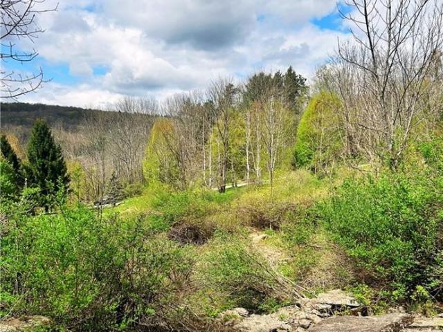 Land for sale in Sand Hill, Town of Unadilla
