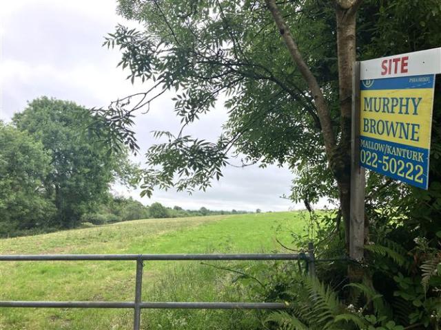 Property for sale in Burnfort, South Tipperary