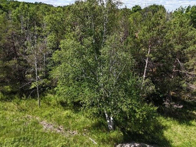 Land for sale in Fish Creek, Wisconsin
