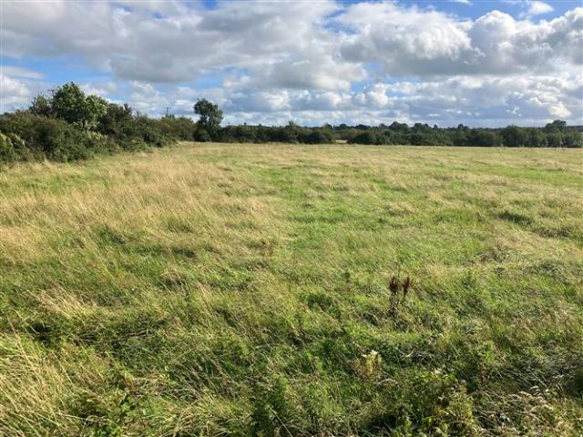 Property for sale in Burnfort, South Tipperary