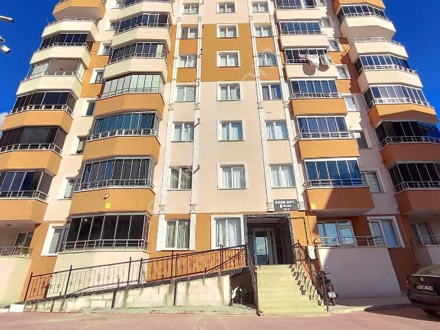 Tokat Merkez, Tokat içerisinde kiralık mülk