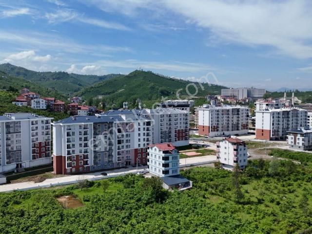 Ordu içerisinde kiralık mülk