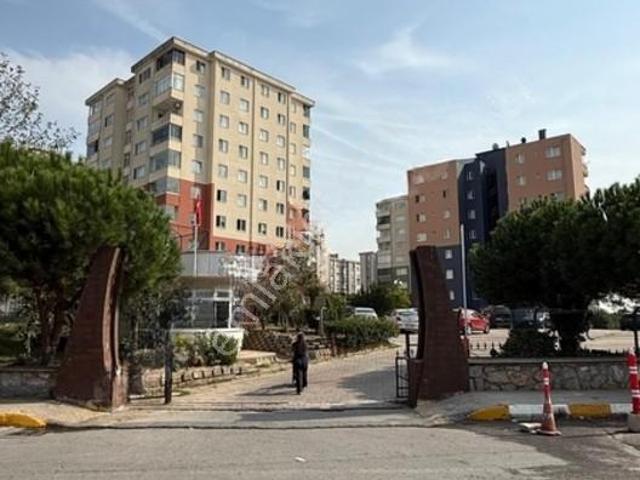Yenişehir Mahallesi, Pendik içerisinde kiralık mülk