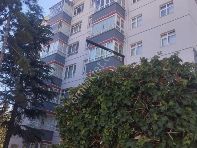 Çankaya, Ankara içerisinde kiralık mülk