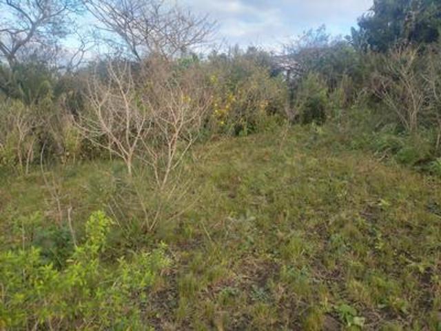 Land for sale in UMhlathuze Municipality, Kwazulu-natal