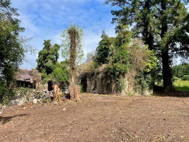 Property for sale in Lismore, South Tipperary