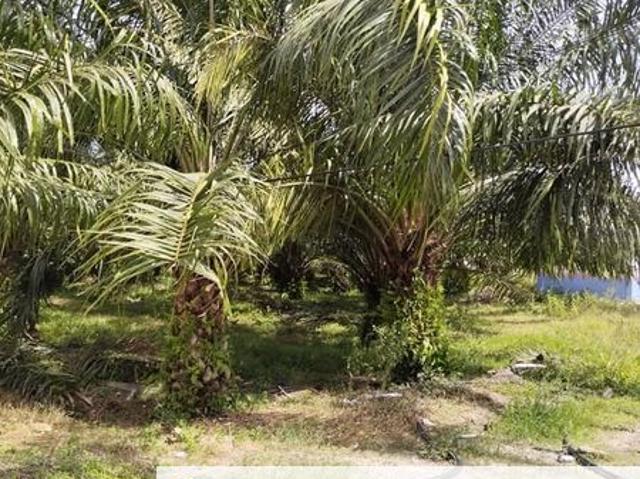 Shop for sale in Perak