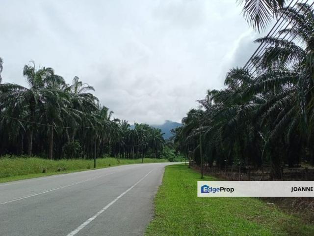 Shop for sale in Perak