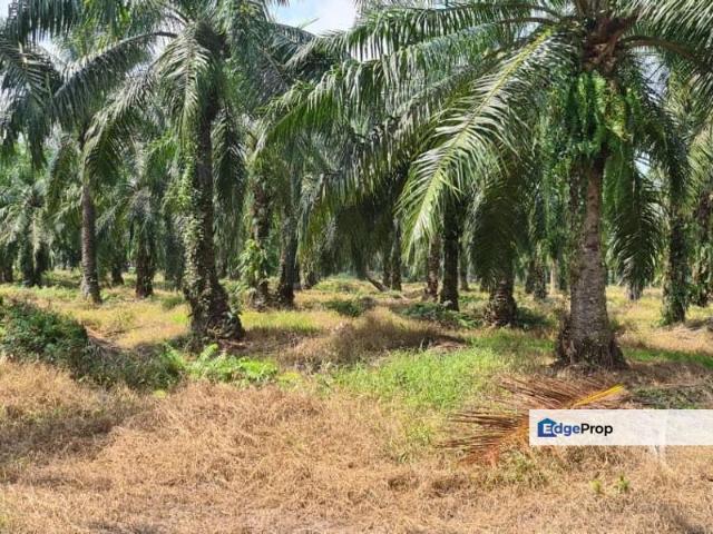 Shop for sale in Perak