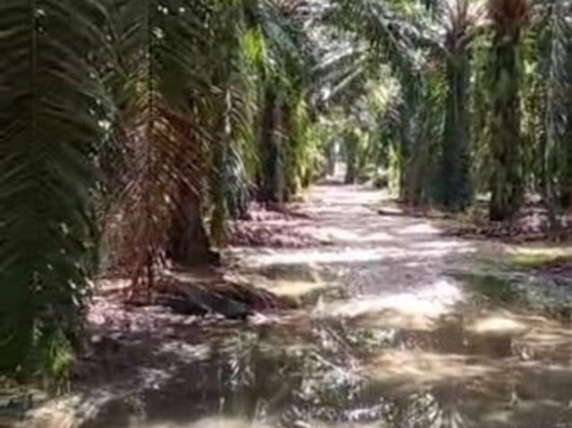 Shop for sale in Perak