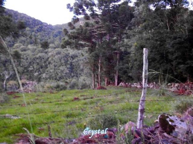 Sítio e chácara venda em Região Geográfica Imediata de Caxias do Sul, Gramado