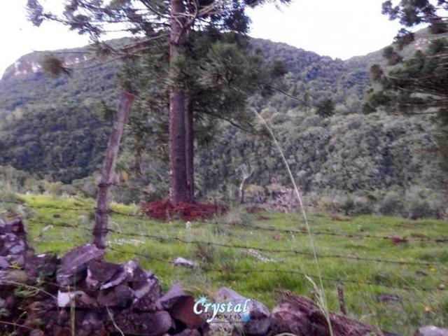 Sítio e chácara venda em Região Geográfica Imediata de Caxias do Sul, Gramado