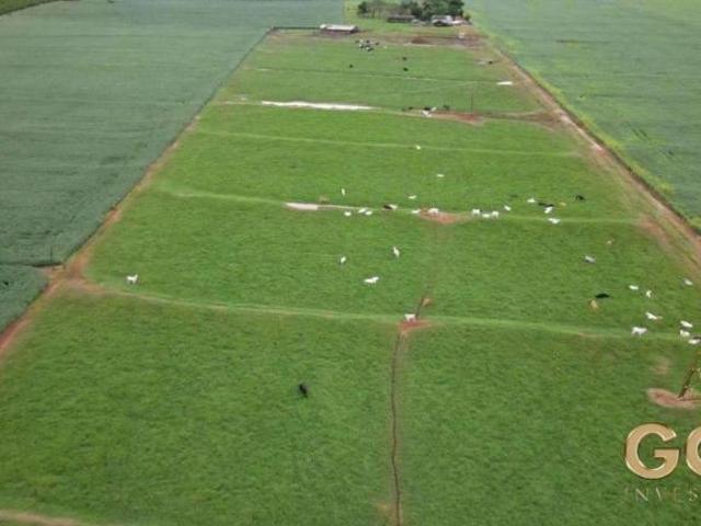 Sítio e chácara venda em Região Geográfica Imediata de Maringá, Astorga