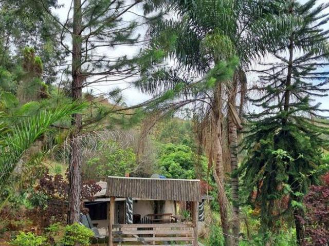 Sítio e chácara venda em Região Geográfica Imediata de Juiz de Fora, Bom Jardim de Minas
