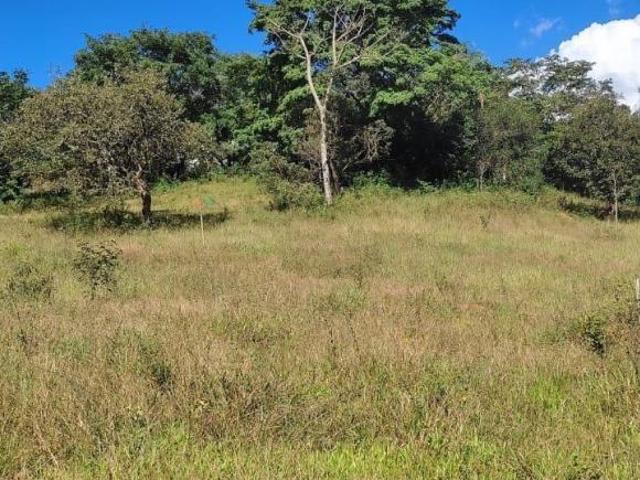 Sítio e chácara venda em Região Geográfica Imediata de Oliveira, Região Metropolitana de Belo Horizonte