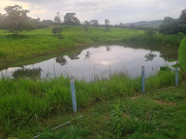 Sítio e chácara venda em Região Geográfica Imediata de Anápolis, Região Integrada de Desenvolvimento do Distrito Federal e Entorno