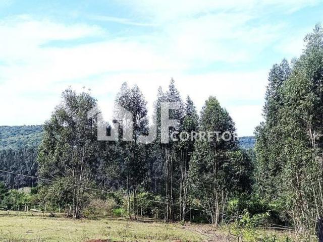 Sítio e chácara venda em Região Geográfica Imediata de Novo Hamburgo - São Leopoldo, Região Metropolitana de Porto Alegre