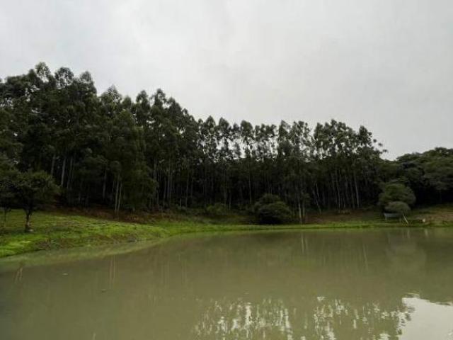 Sítio e chácara venda em Região Geográfica Imediata de Encantado, Anta Gorda