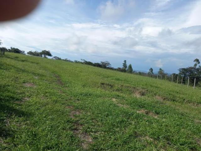 Sítio e chácara venda em Região Imediata de Ribeirão Preto, Região Metropolitana de Ribeirão Preto