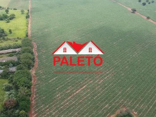 Sítio e chácara venda em Centro, Cesario Lange