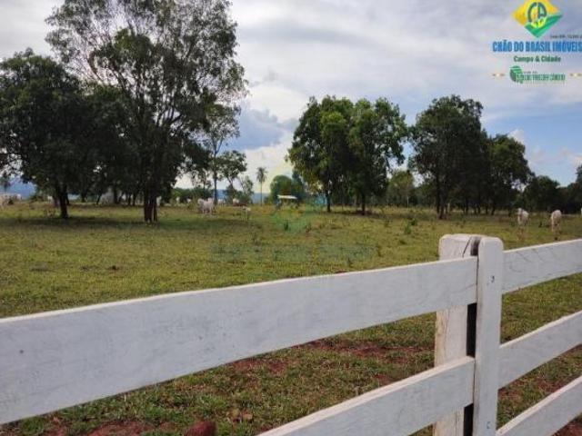 Sítio e chácara venda em Região Geográfica Imediata de Campo Grande, Rochedo