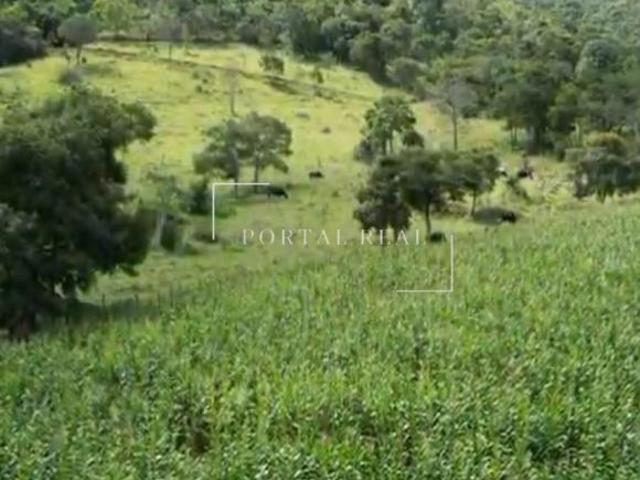 Sítio e chácara venda em Região Geográfica Imediata de Passos, Guapé