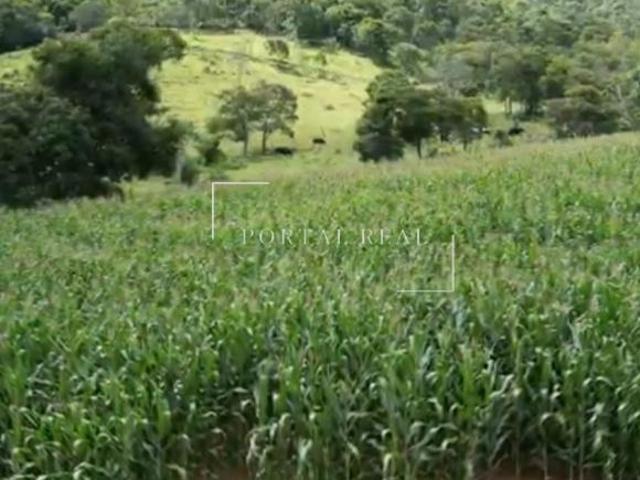 Sítio e chácara venda em Região Geográfica Imediata de Passos, Guapé