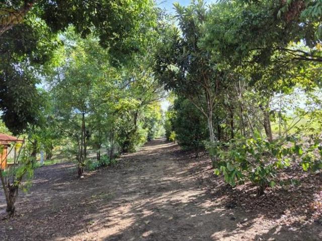 Sítio e chácara venda em Região Imediata de Sorocaba, Região Metropolitana de Sorocaba