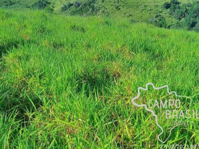 Sítio e chácara venda em Região Imediata de São José dos Campos, Região Metropolitana do Vale do Paraíba e Litoral Norte