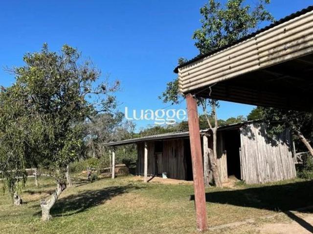 Sítio e chácara venda em Região Geográfica Imediata de Porto Alegre, Região Metropolitana de Porto Alegre