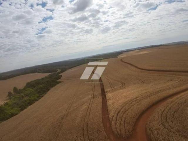Sítio e chácara venda em Região Geográfica Imediata de Cascavel, Ibema