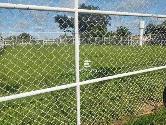 Sítio e chácara venda em Região Imediata de Votuporanga, Cosmorama