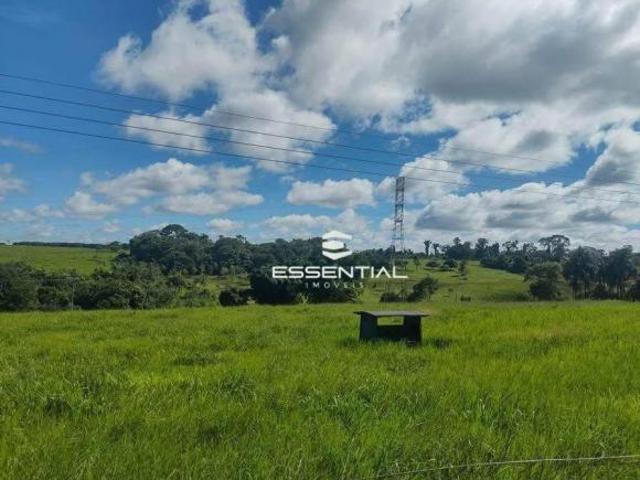 Sítio e chácara venda em Região Imediata de Votuporanga, Cosmorama
